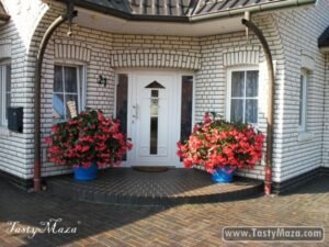 Modern Home Door Design Collection